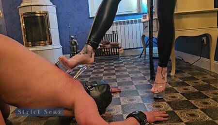 Miss Alessa Milano Whipping on Your Knees Part 2