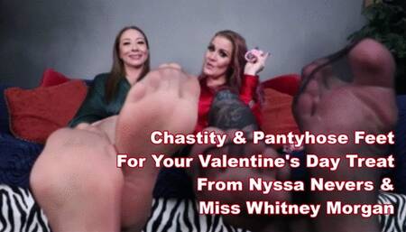 Chastity & Pantyhose Feet For Your Treat with Nyssa Nevers & Whitney Morgan - mp4