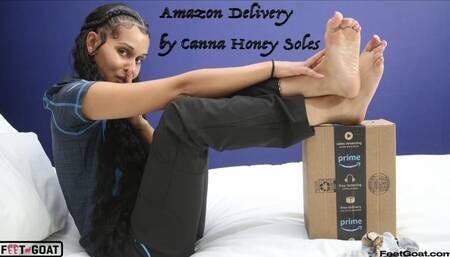 Amazon Package Delivery Woman Sockjob, Footjob, and Handjob with 2 cumshots!