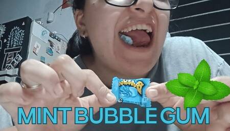 CHEWING MINT GUM