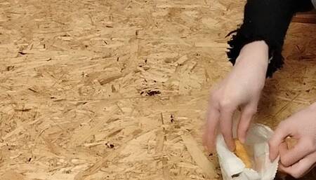 Chicken Nuggets trampling 2 view