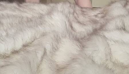 Sexy Dance and Cumming