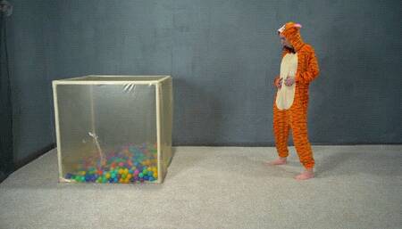 A cube for the tiger