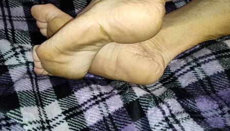 Tempest on bed with calves