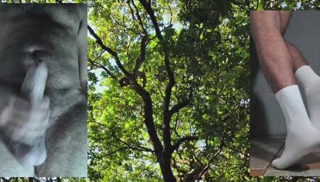 White Socks ( Series Inspiration n 1)