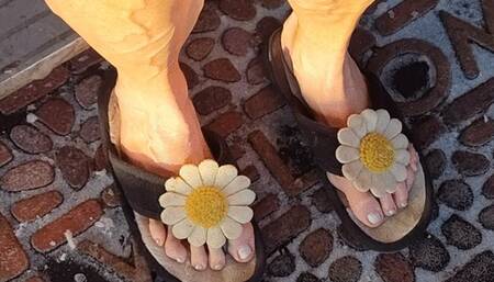 Tempest in daisy slipper and calves