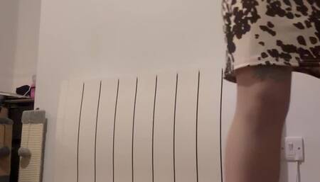 Pop Goes the Romance