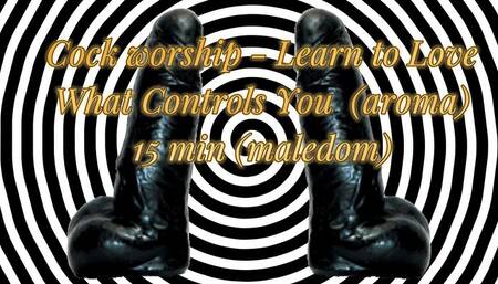 Cock worship - Learn to Love What Controls You (aroma) 15 min (maledom)