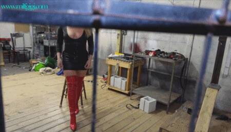 Teasing Your Caged Cock (WMV HD)