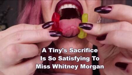 A Tiny's Sacrifice Is So Satisfying To Miss Whitney Morgan - mp4