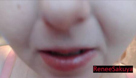 Mouth Teeth Tour, Looking at Teeth