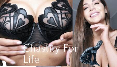 Chastity For Life SD
