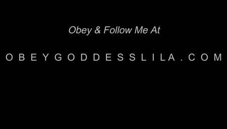 4 Reasons Why Credit Cards Are Good For You