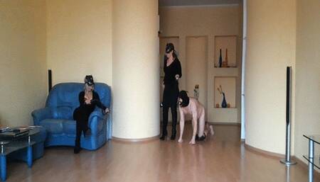 FM session #122 Pony training