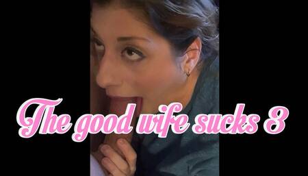 The good wife sucks 3