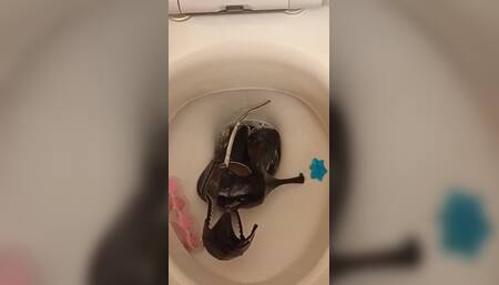 Sexy Pointy High Heels Peed on and Flushed Down the Toilet
