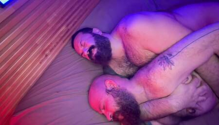 Bears in Purple Bareback Threesome