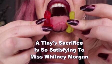 A Tiny's Sacrifice Is So Satisfying To Miss Whitney Morgan - wmv