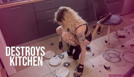 DESTROYS OBJECTS Julia smashes your kitchen