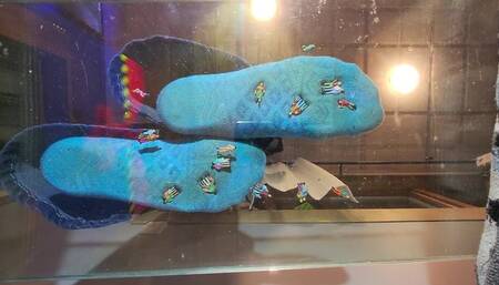 Underglass sock crush