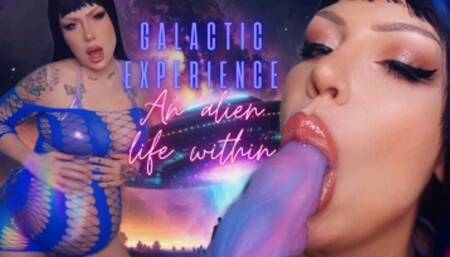 Galactic Experience: an Alien Life Within
