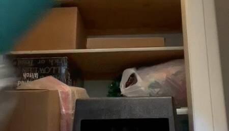 Turquoise Tights Low Cut Boots Reach Challenge