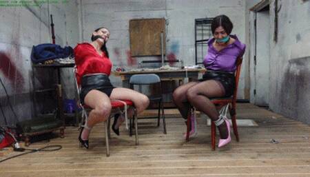 Two busty wenches chair tied, breast bound for intense bound orgasms (WMV HD 8000kbps)