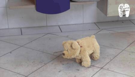 Stuffed toy under Flip Flops