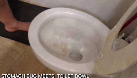 STOMACH BUG MEETS TOILET BOWL