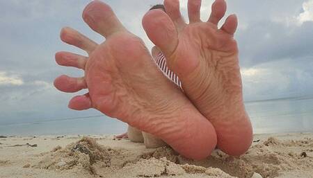 Sandy Beach Soles (mkv)