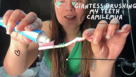 I am a giantess who brushes her teeth with her tiny, pov of a tiny inside my mouth