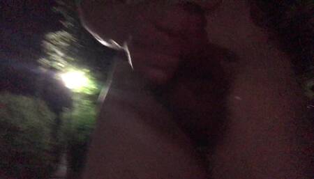 Walking Around the Neighbors with a Naked Erection Spilling Cum at Midnight - to West Park _ 210712