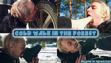 cold walk in the forest (FULL HD MP4)
