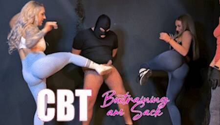 CBT - Box training on the balls