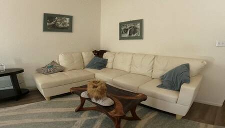 Stuck at home playing a game with stepmom