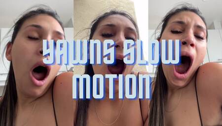 YAWNS Slow motion