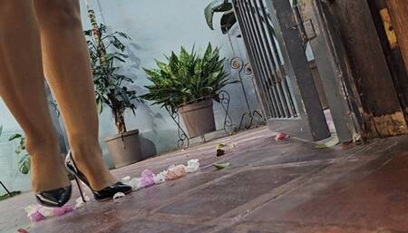 Balbina Heel popping BBW Queen in shiny pantyhose and black stilettos