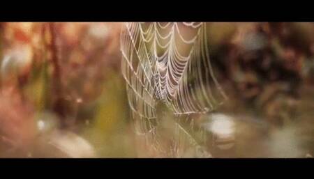 Beating up two Pretty Girls