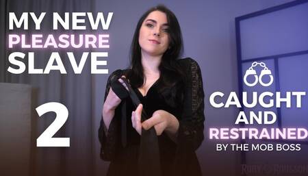 My New Pleasure Slave - Caught and Restrained by The Mob Boss, Part 2