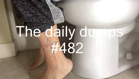The daily dumps #482 mp4