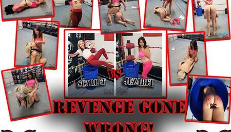 1267-Revenge Gone Wrong - Female Stripdown Wrestling