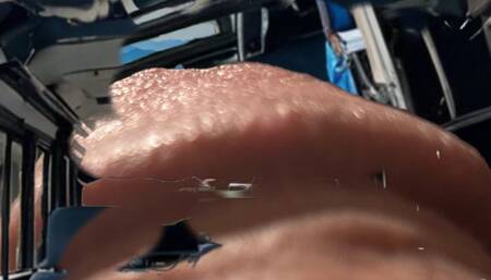 Giant Jay Finds A Bus!