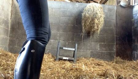 JOI & Ass Worship In The Stable