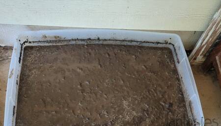 Fifi playing in a bin of mud wearing ankle strap wedge heels *NEW*