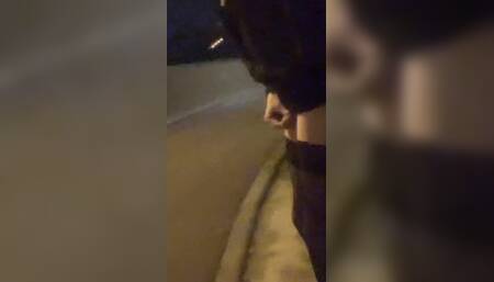 Another Walk with a Ponytail in the Anus