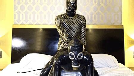 Golden Master, Part 2 - Alex Latex