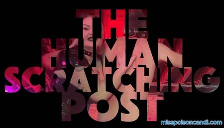 The Human Scratching Post