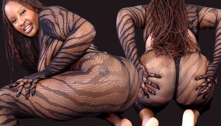 No Pleasure For white boys