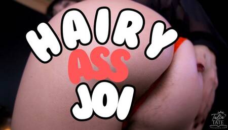 Hairy Ass JOI