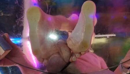 Tim Cock Trample On The Glass Table HD Up Cam